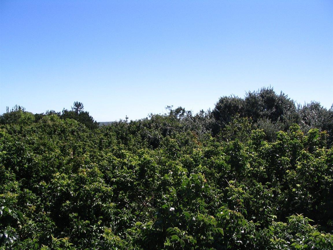 743 m² Land available in Merryhill