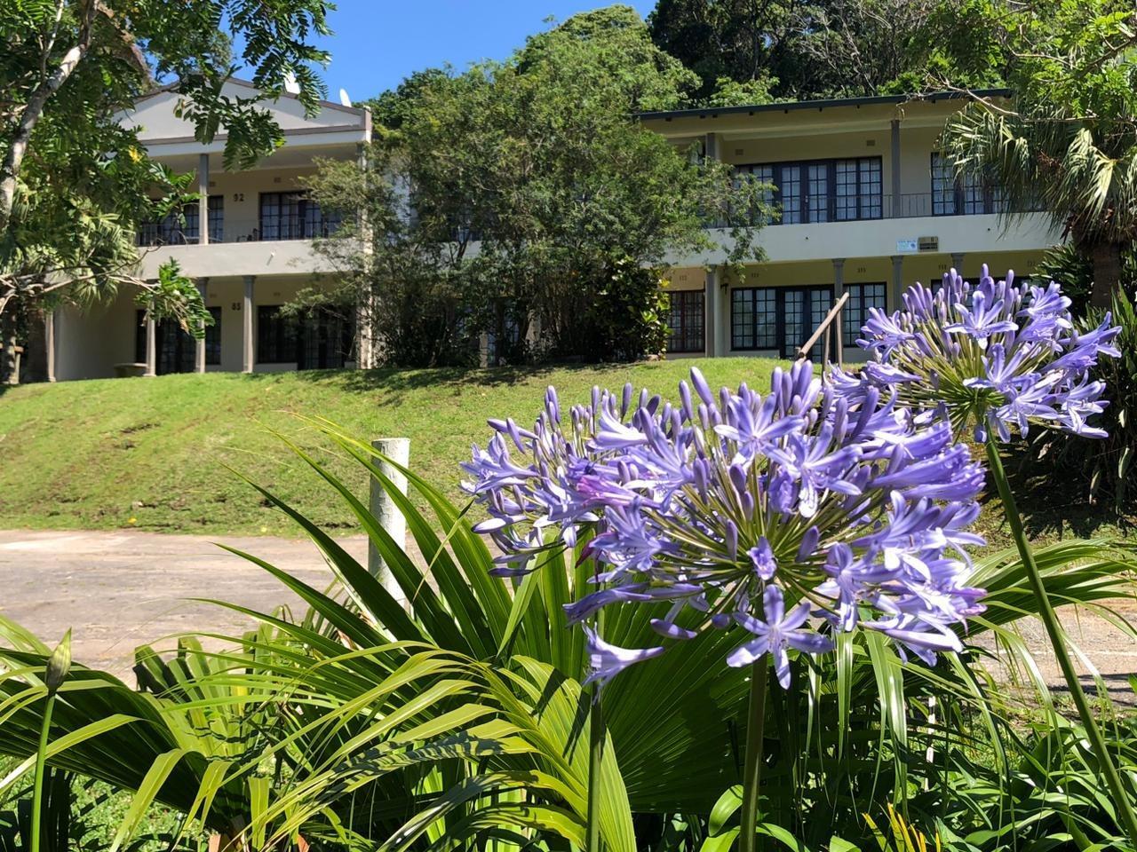 2 Bedroom Apartment in Banners Rest