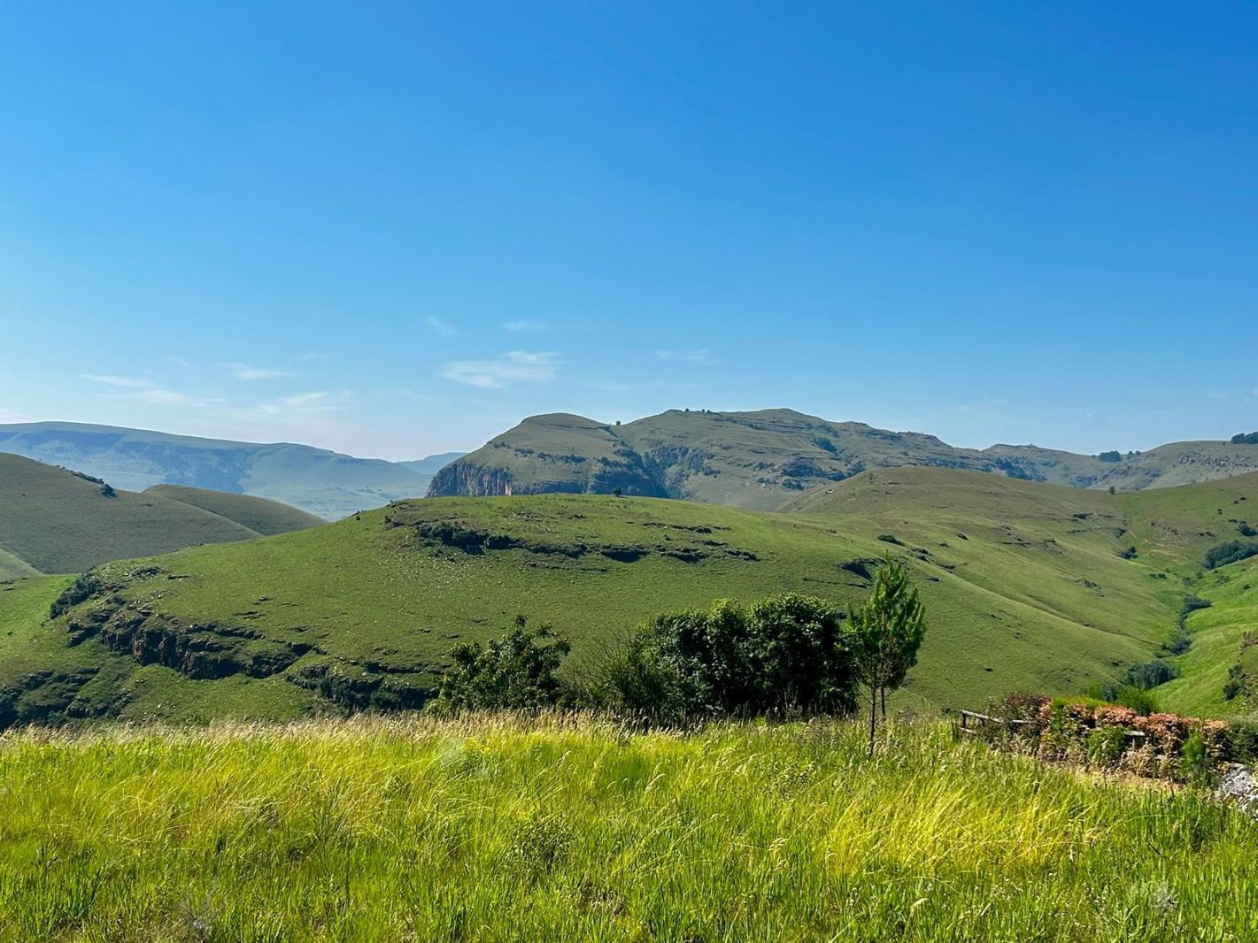 1 199 m² Land available in Dullstroom