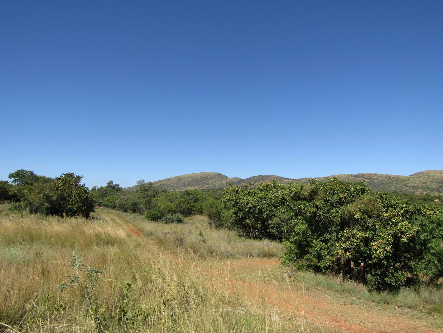 634 m² Land available in Seasons Lifestyle Estate