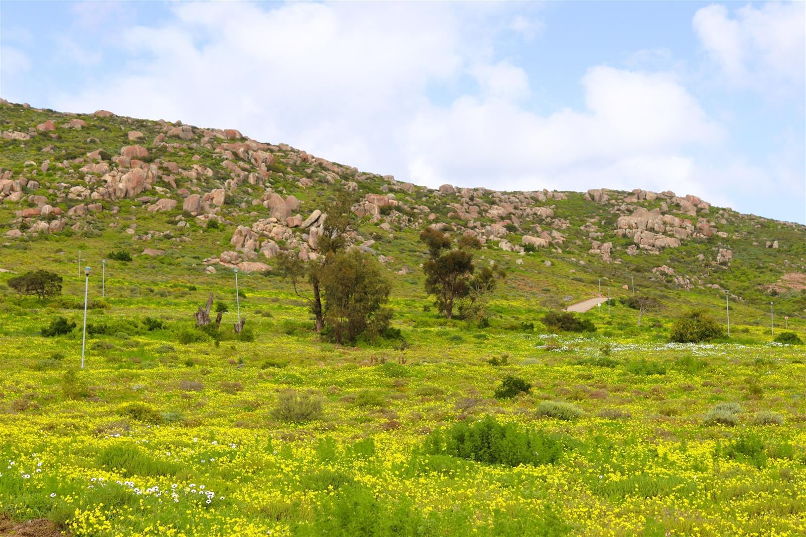 459 m² Land available in St Helena Views