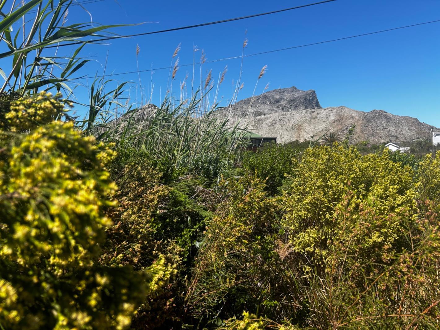600 m² Land available in Pringle Bay