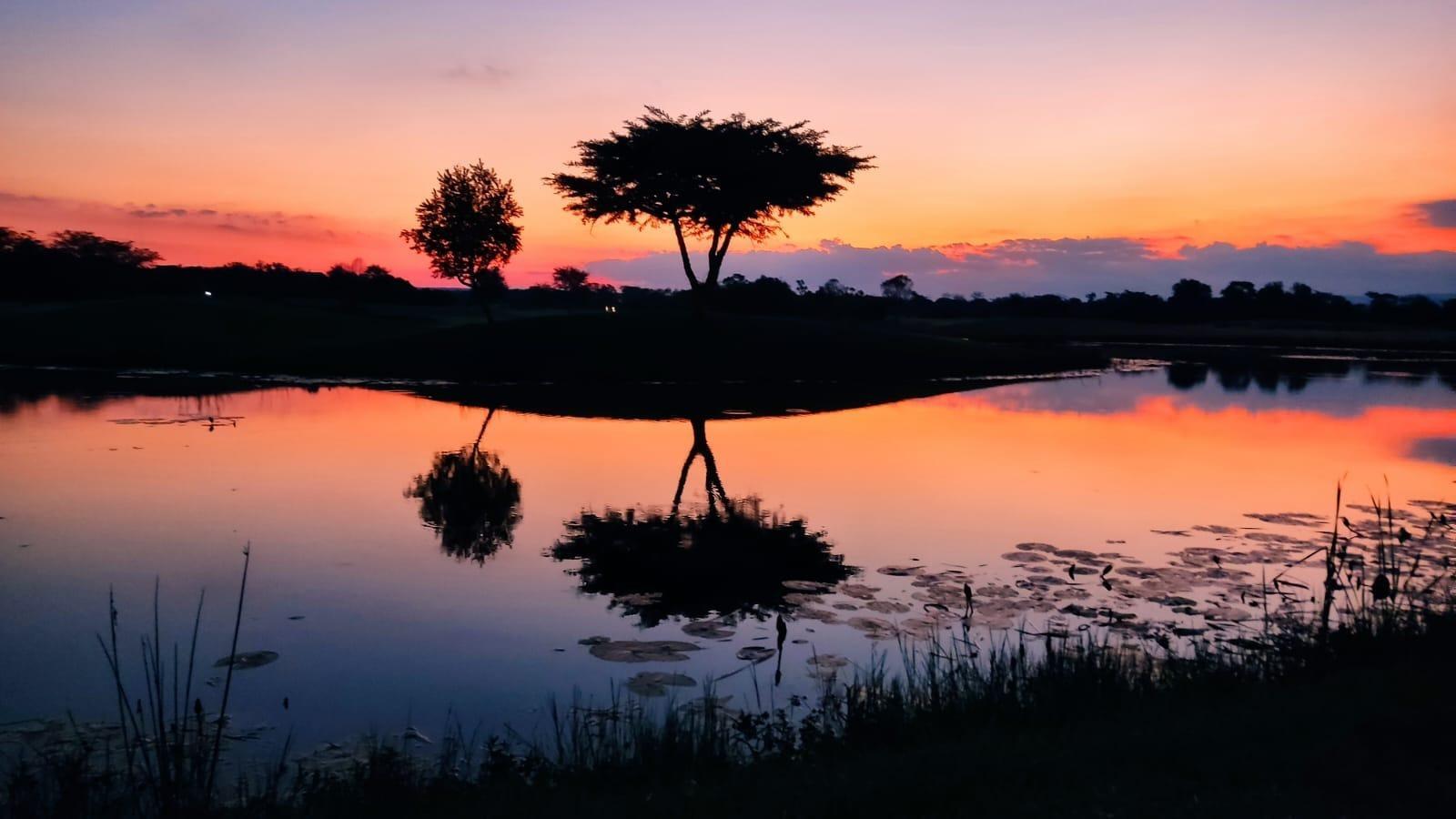 1 242 m² Land available in Koro Creek Golf Estate