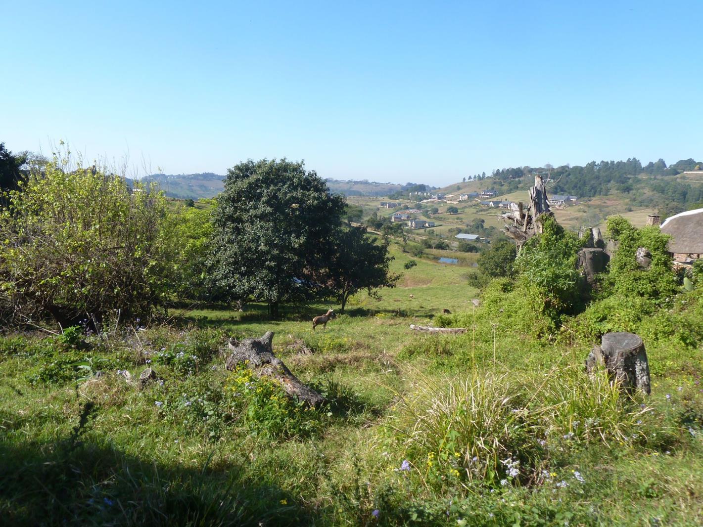 1 960 m² Land available in Bothas Hill