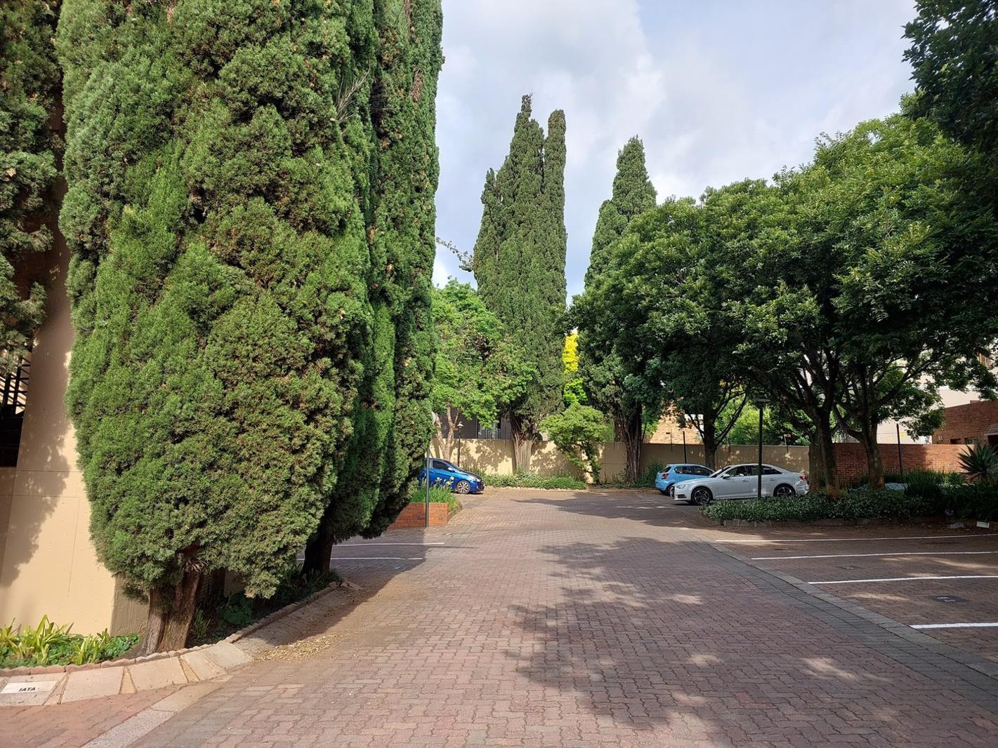 1 Bedroom Apartment in Riviera