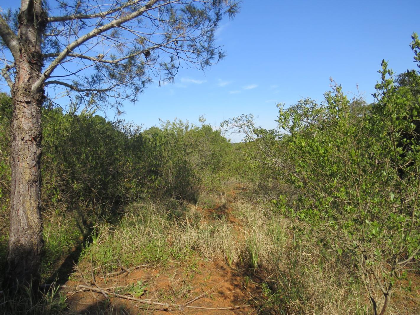 8 565 m² Land available in Bathurst