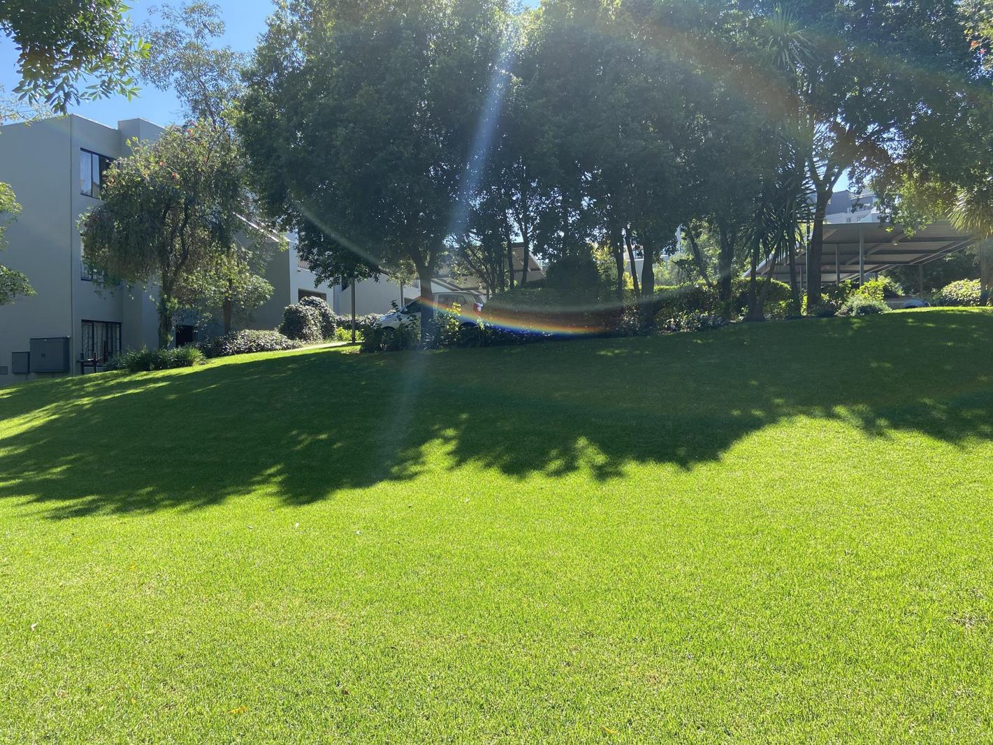 1 Bedroom Apartment in Morningside