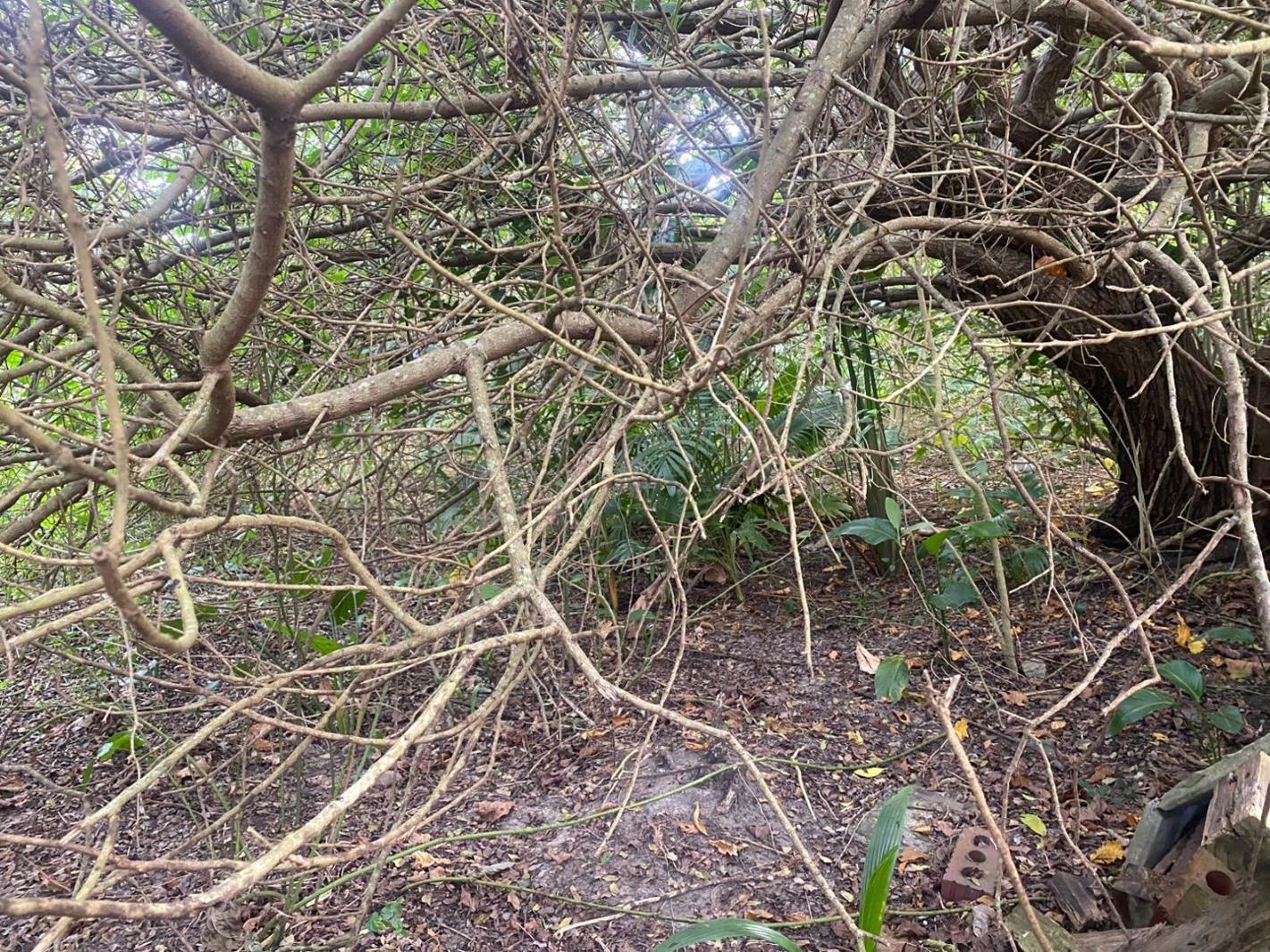 1 247 m² Land available in Port Edward