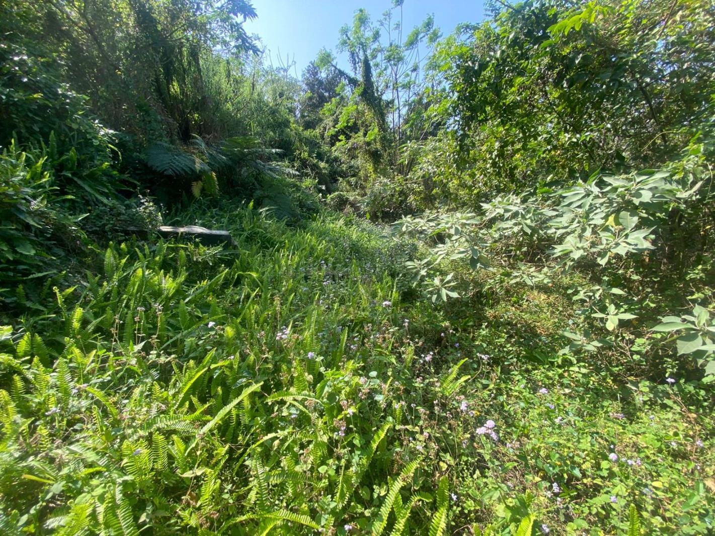 1 349 m² Land available in Ramsgate