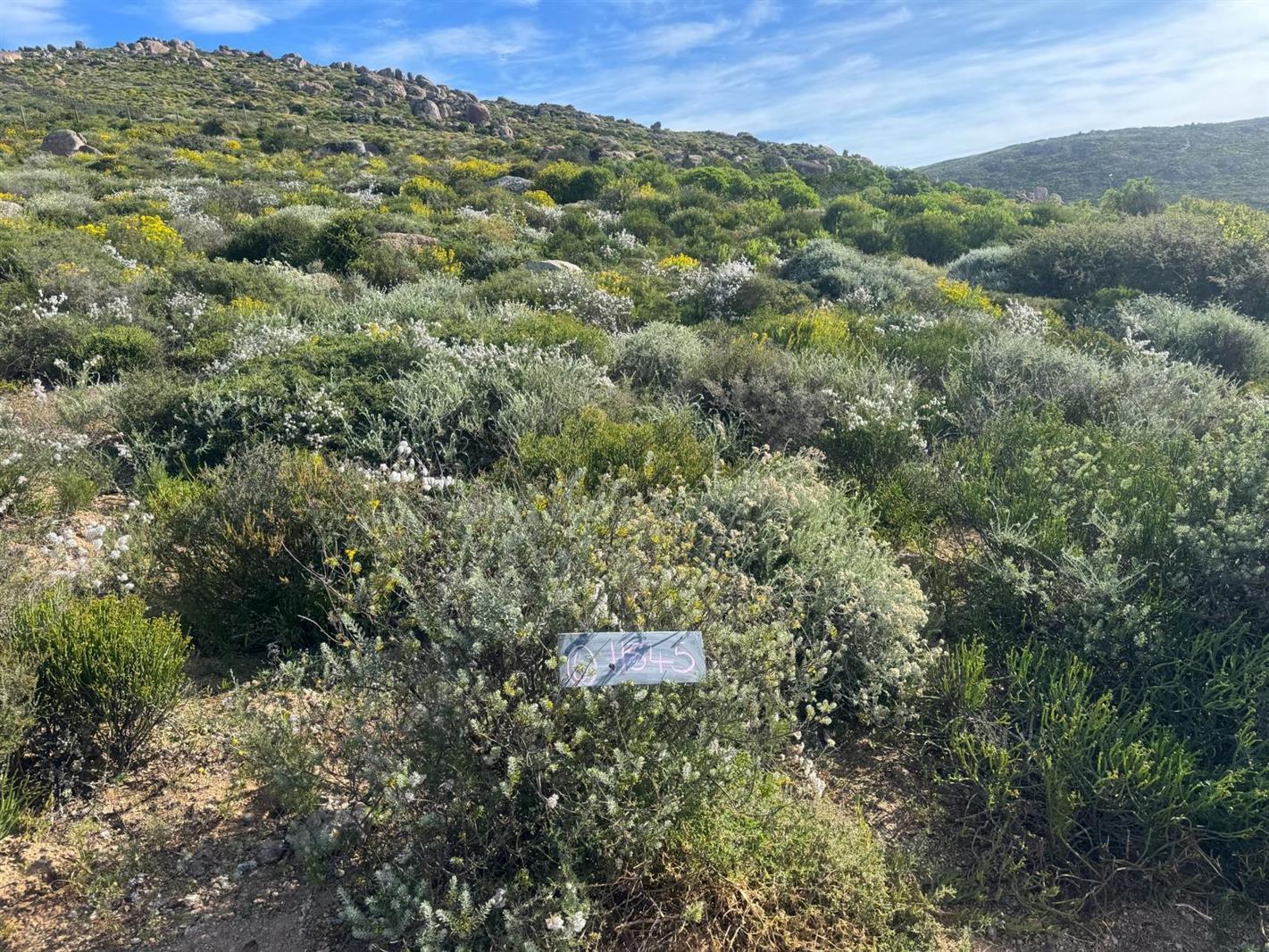 366 m² Land available in St Helena Views