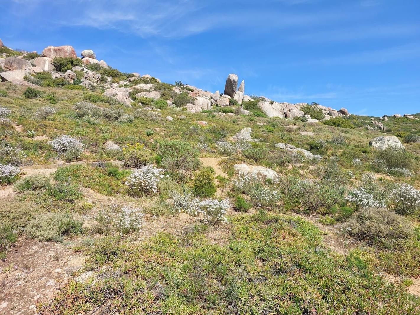440 m² Land available in St Helena Views