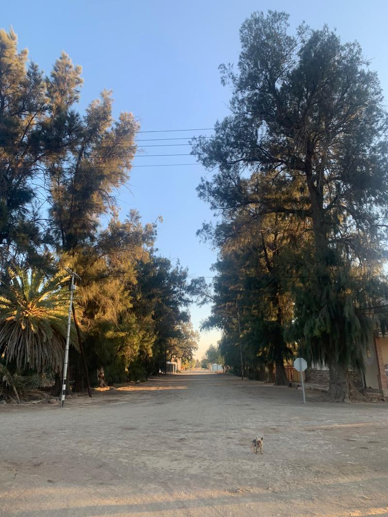 1 269 m² Land available in Vosburg