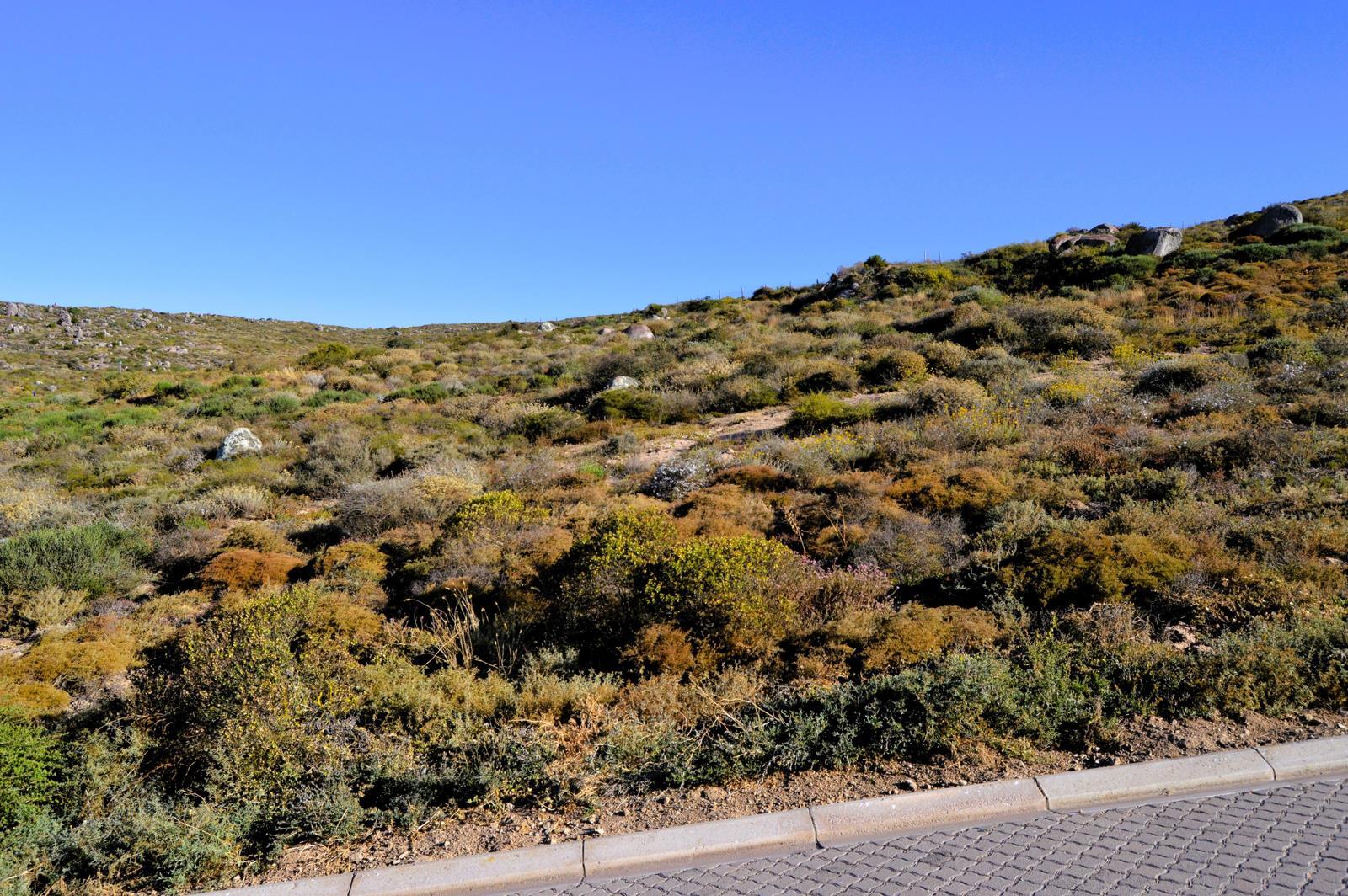 466 m² Land available in St Helena Bay