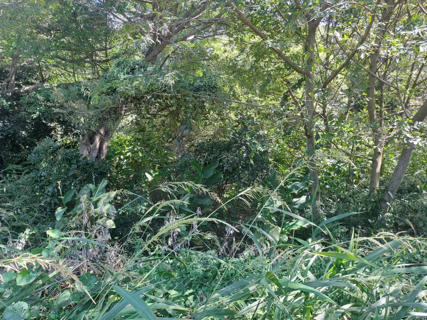 1 189 m² Land available in Kelso