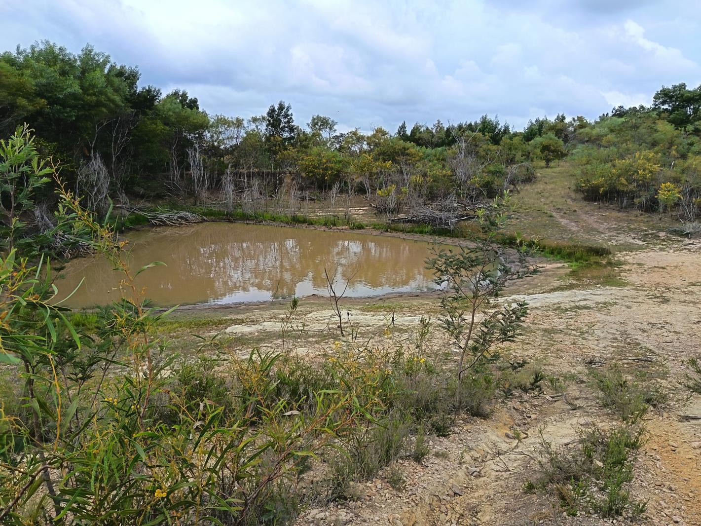 8.7 ha Land available in Greenbushes