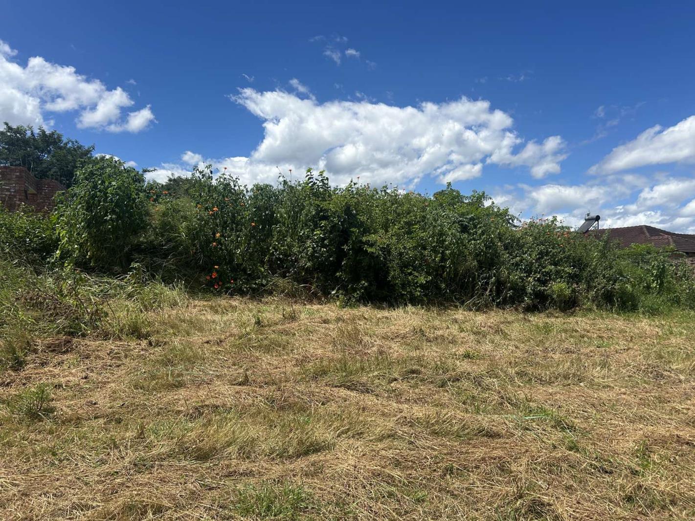 713 m² Land available in Louis Trichardt