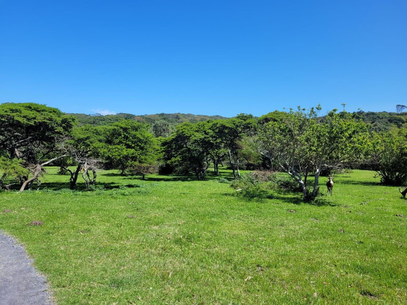 1 170 m² Land available in Cove Rock