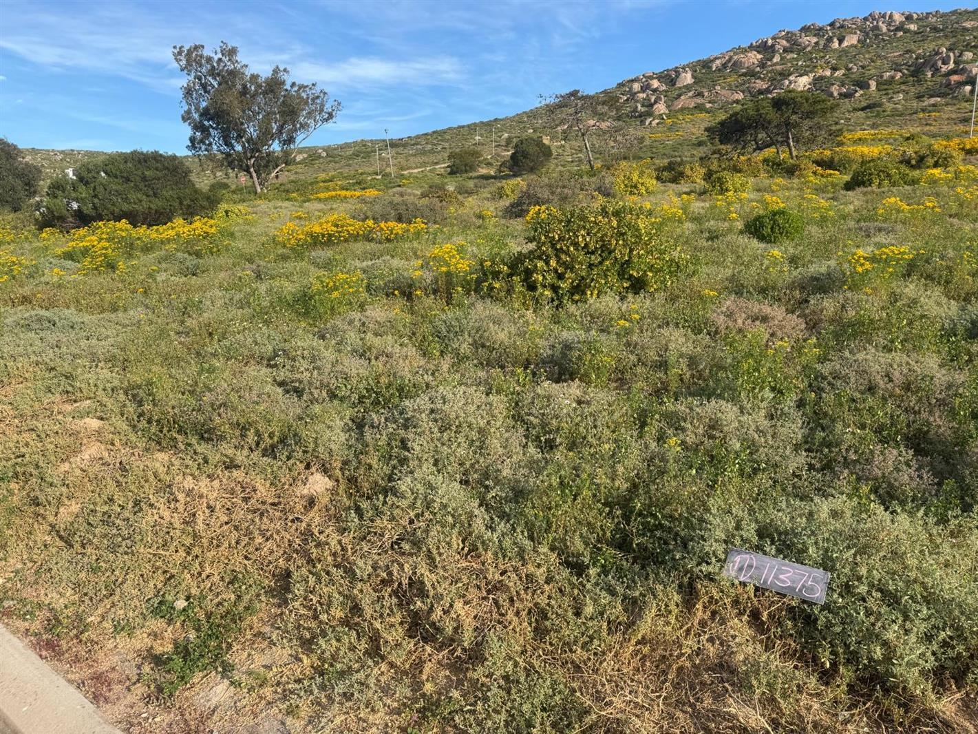 400 m² Land available in St Helena Views