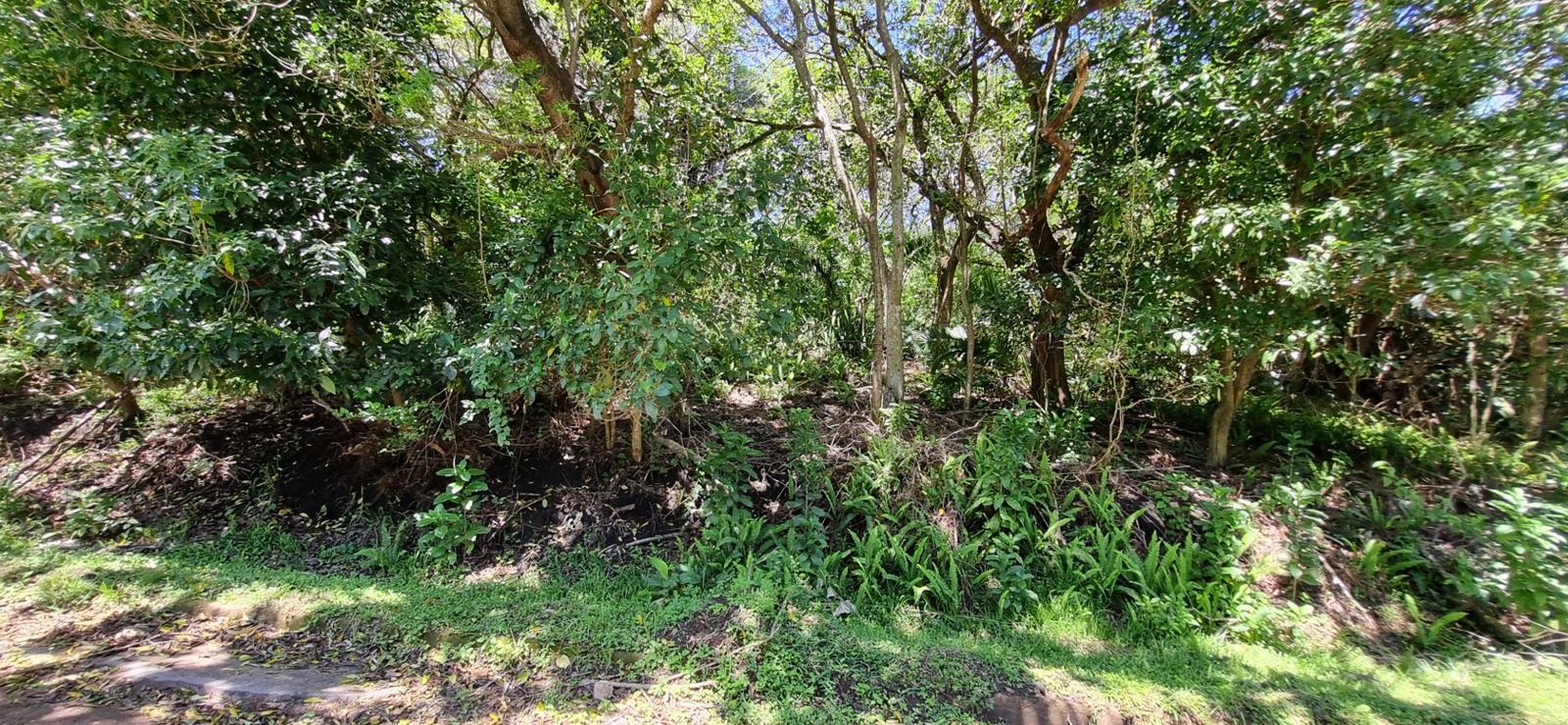 2 280 m² Land available in Southbroom