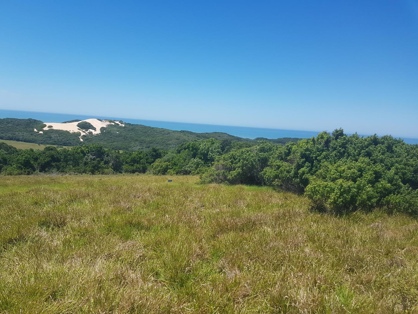 826 m² Land available in Kenton-on-Sea
