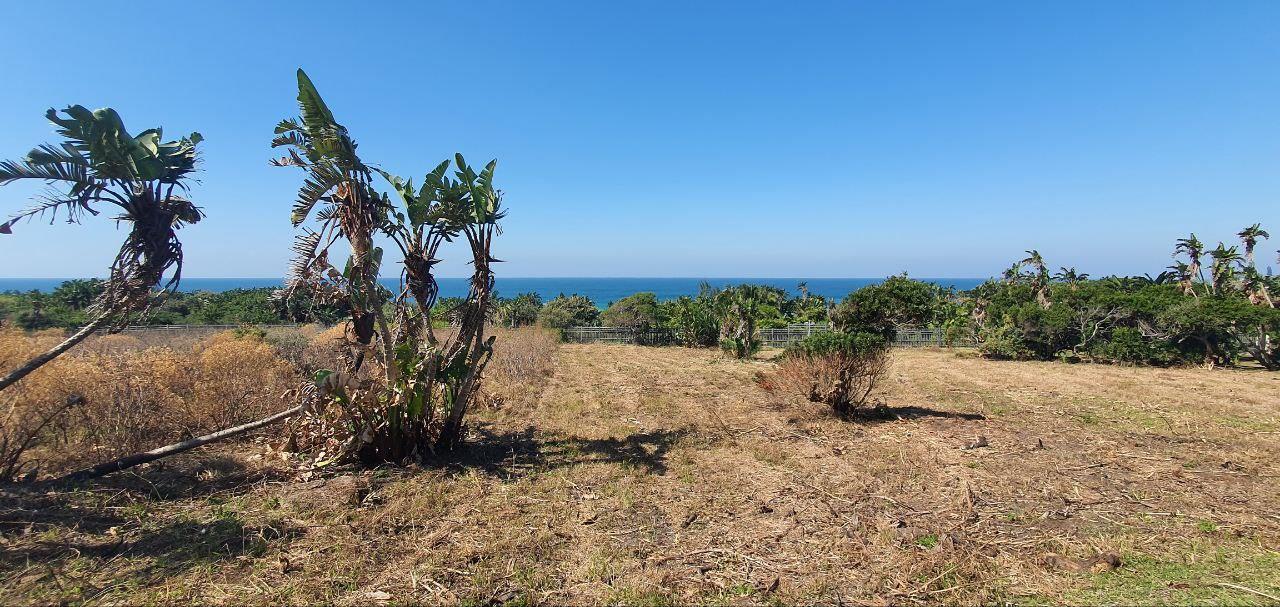 1 475 m² Land available in Port Edward