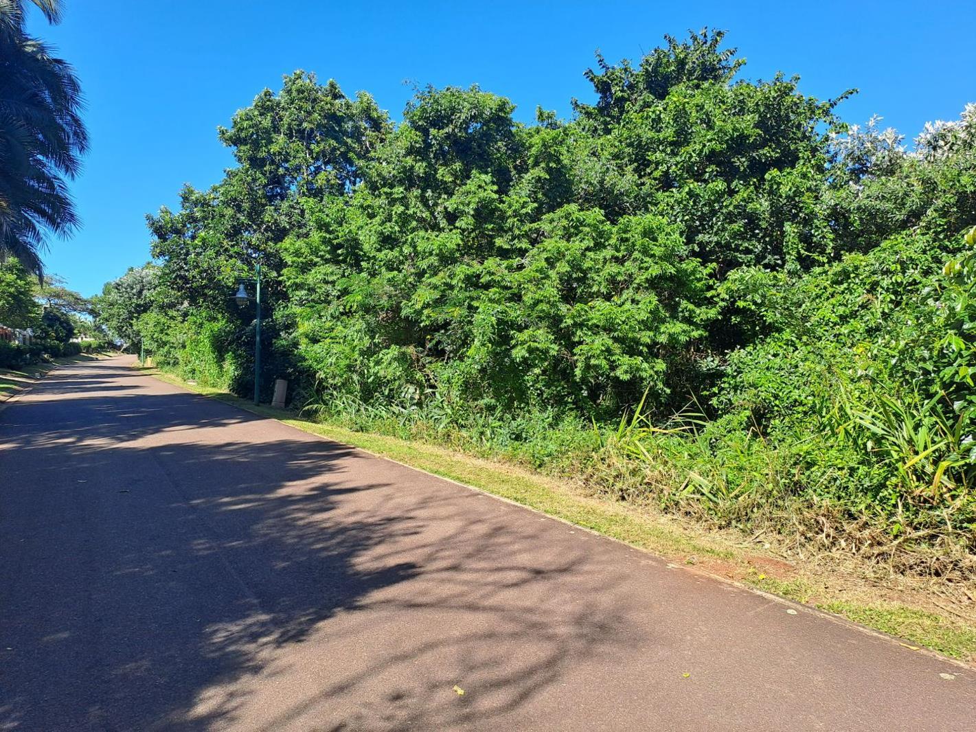 1 303 m² Land available in Kelso