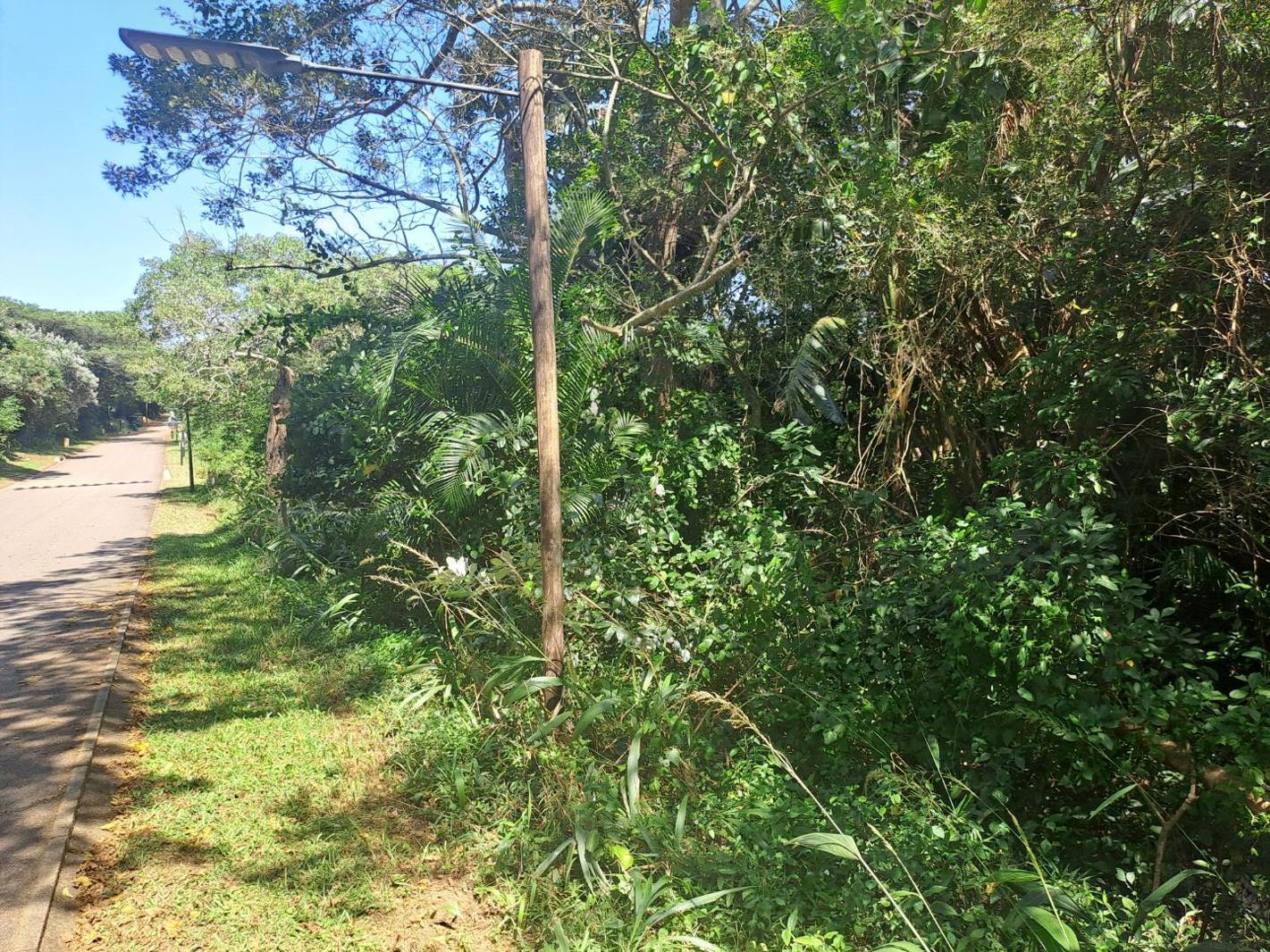 1 165 m² Land available in Kelso