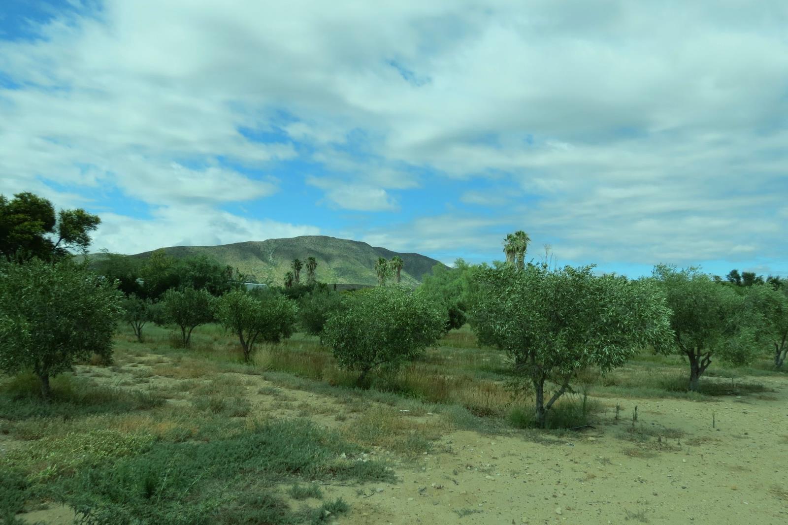 6 201 m² Land available in Prince Albert
