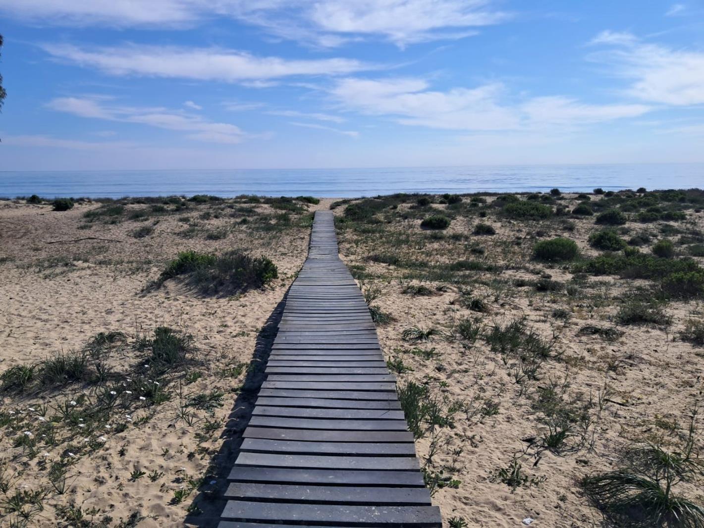 500 m² Land available in Port Owen