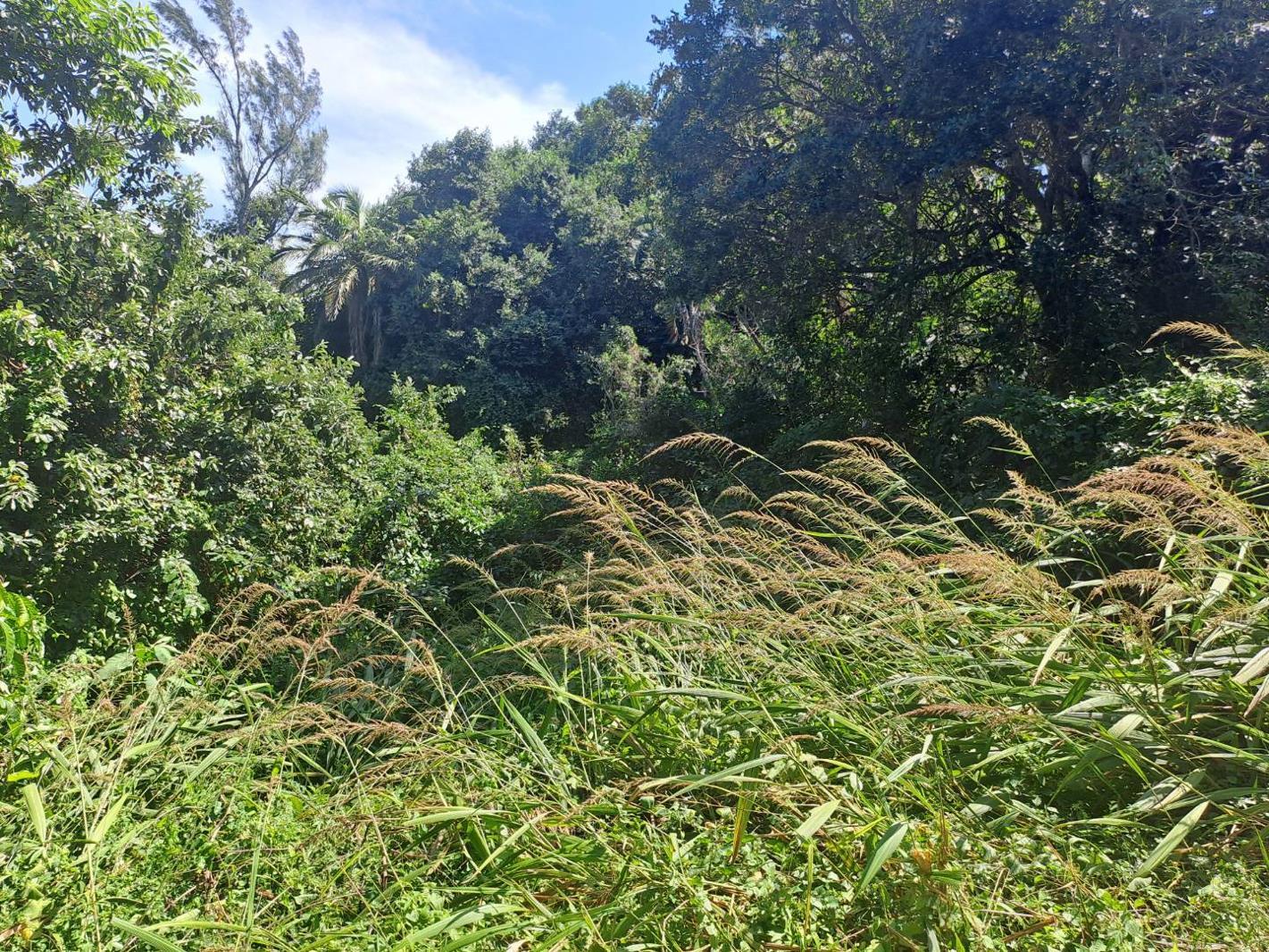 1 165 m² Land available in Kelso