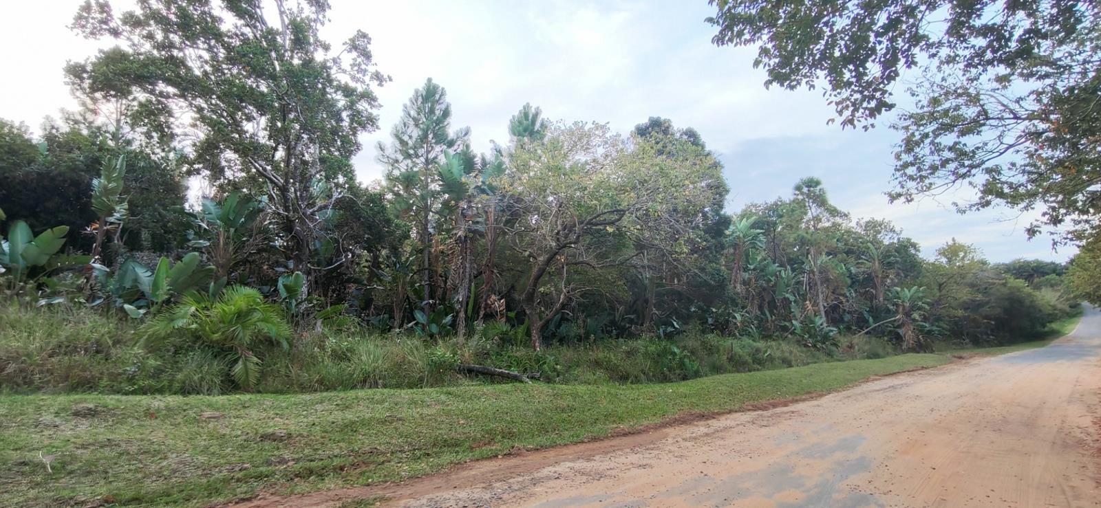 1 826 m² Land available in Palm Beach