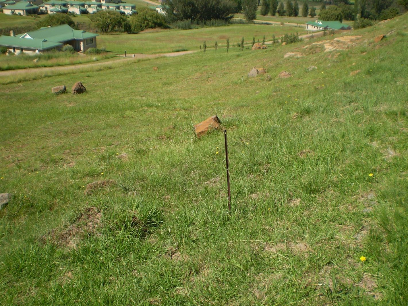 1 500 m² Land available in Clarens