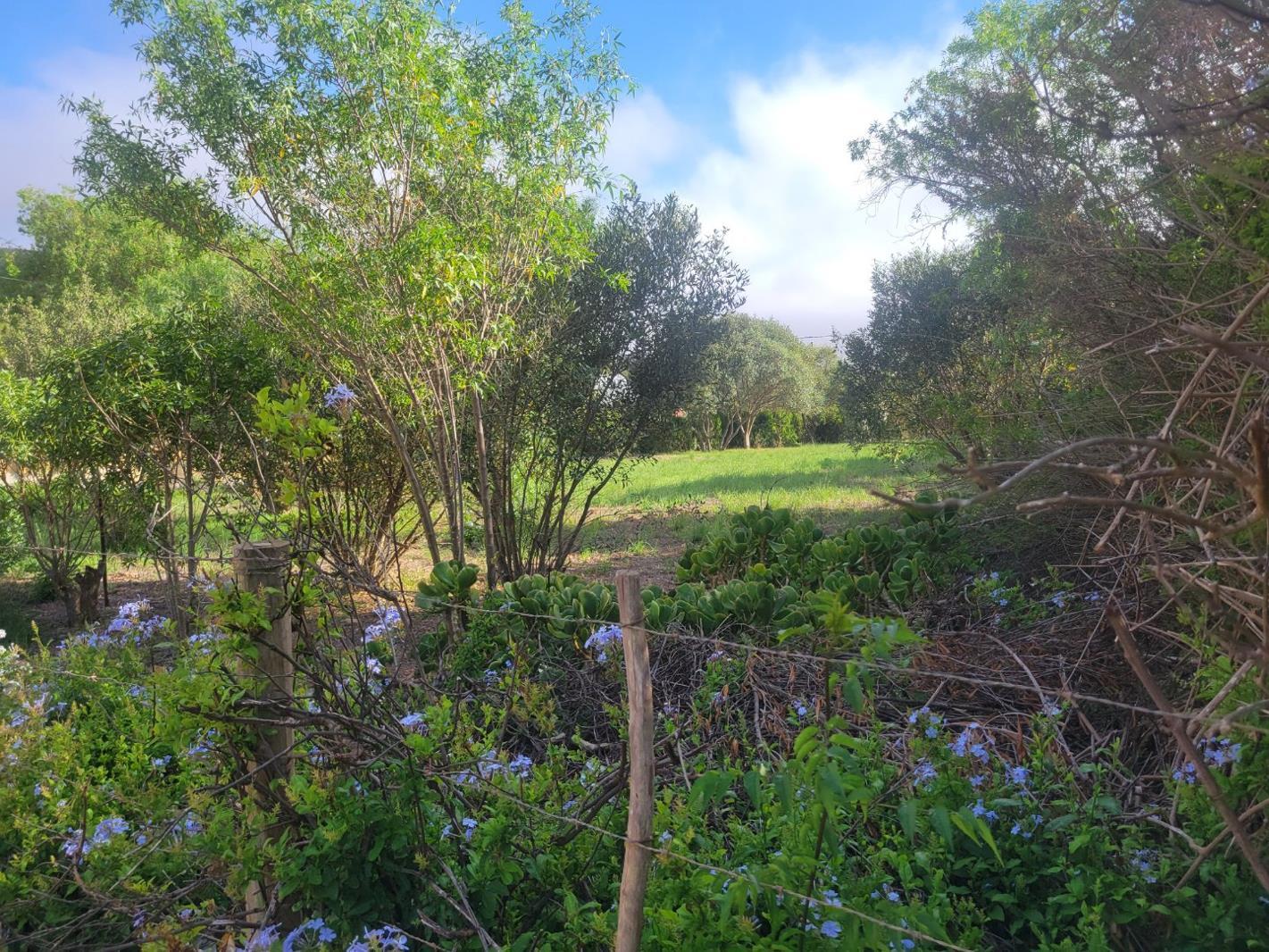 1 115 m² Land available in Napier