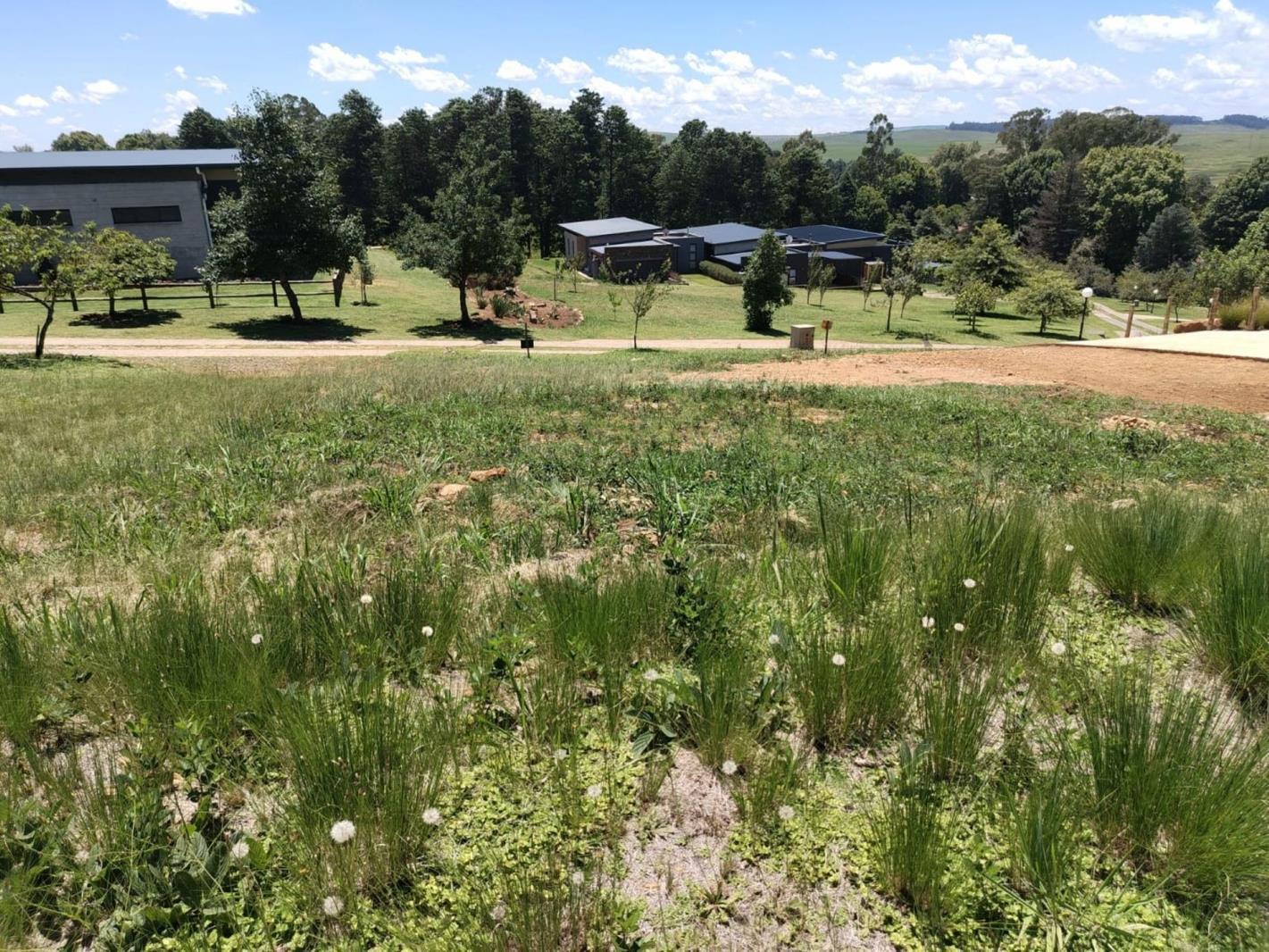 800 m² Land available in Nottingham Road