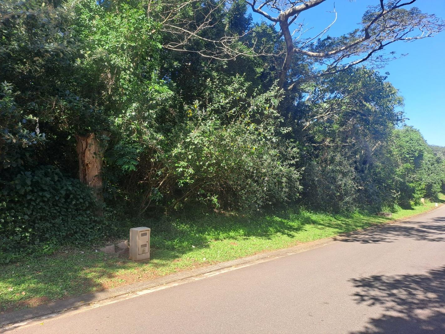 1 110 m² Land available in Kelso