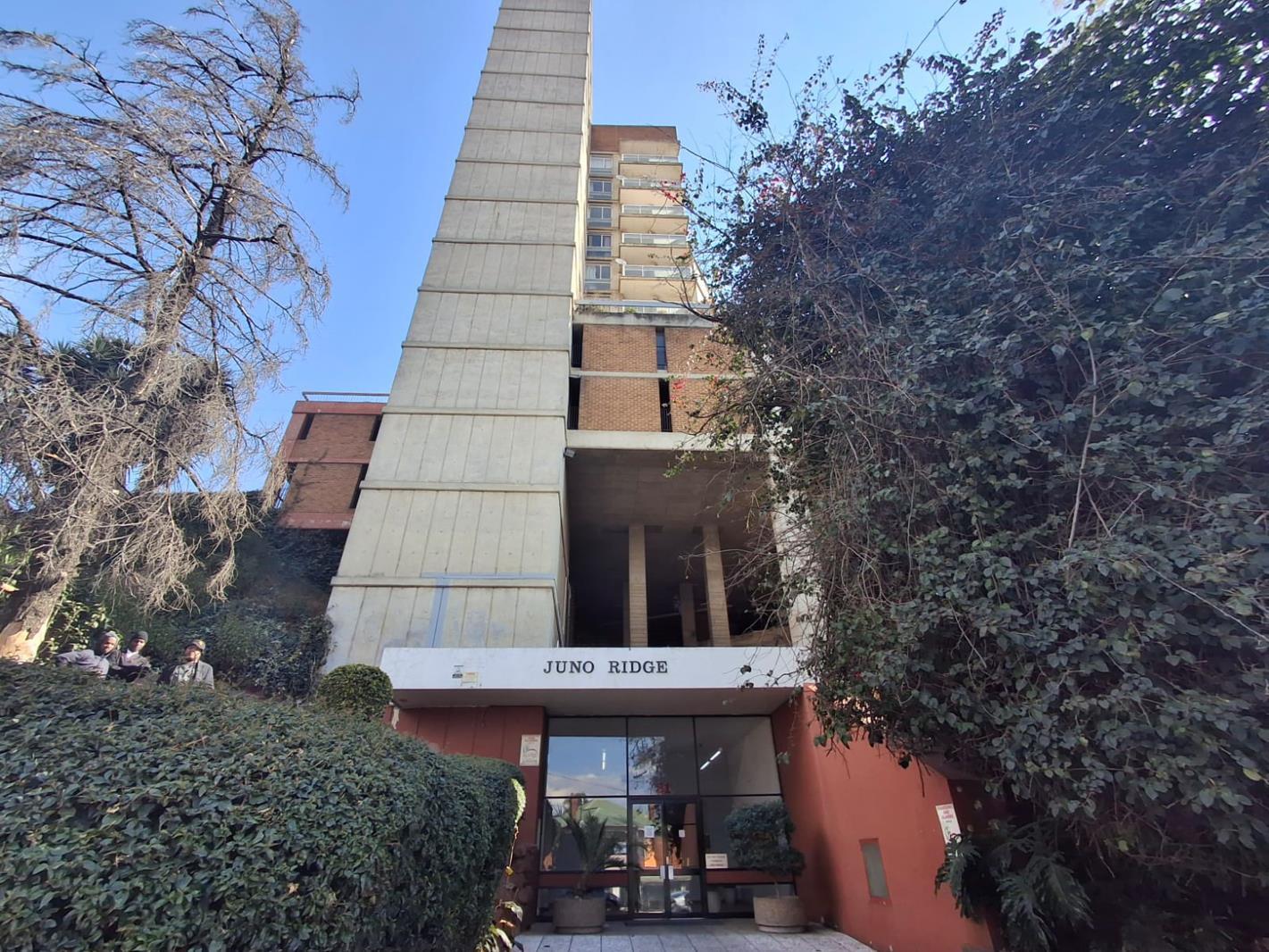 1 Bedroom Apartment in Kensington