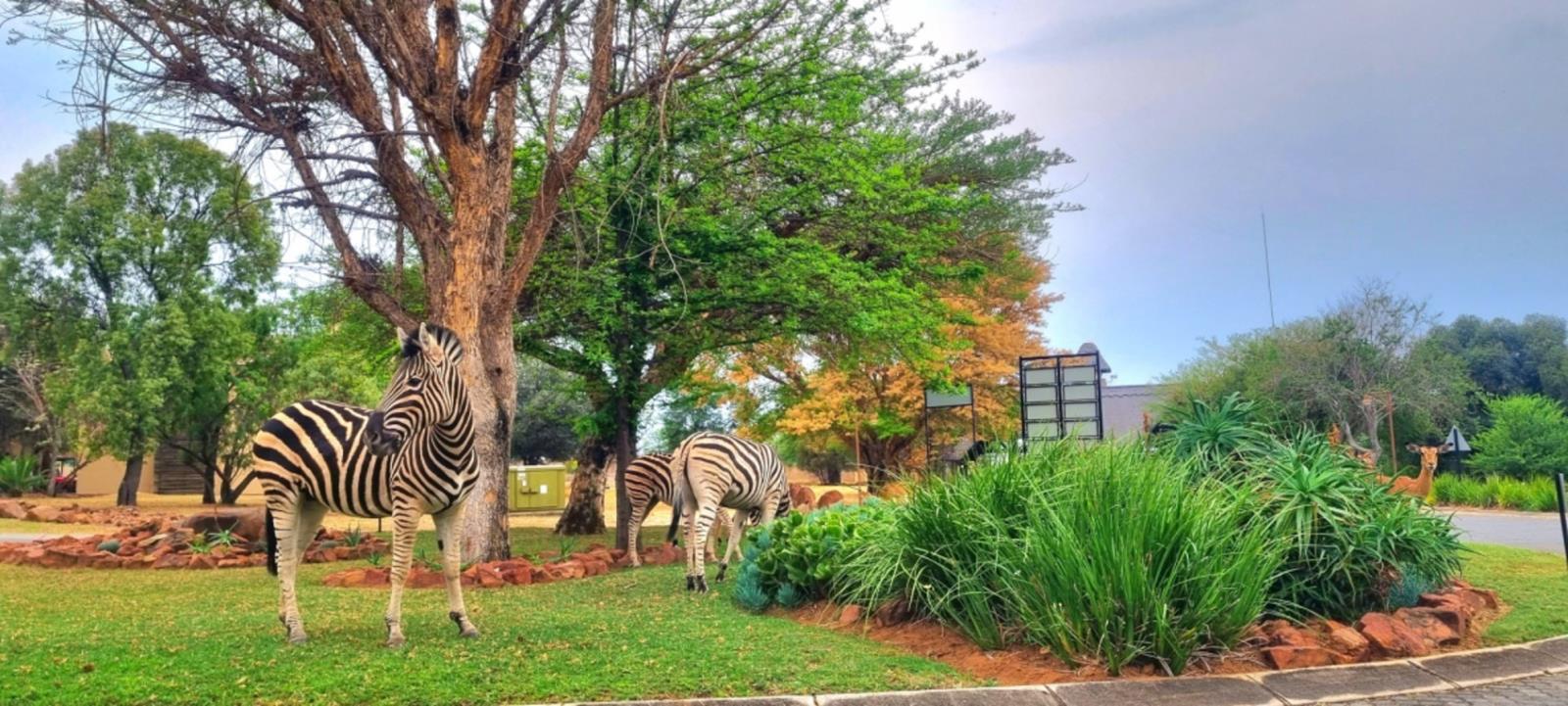 1 188 m² Land available in Koro Creek Golf Estate