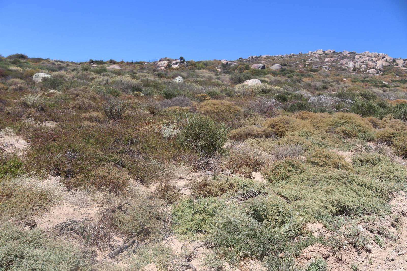 460 m² Land available in St Helena Views
