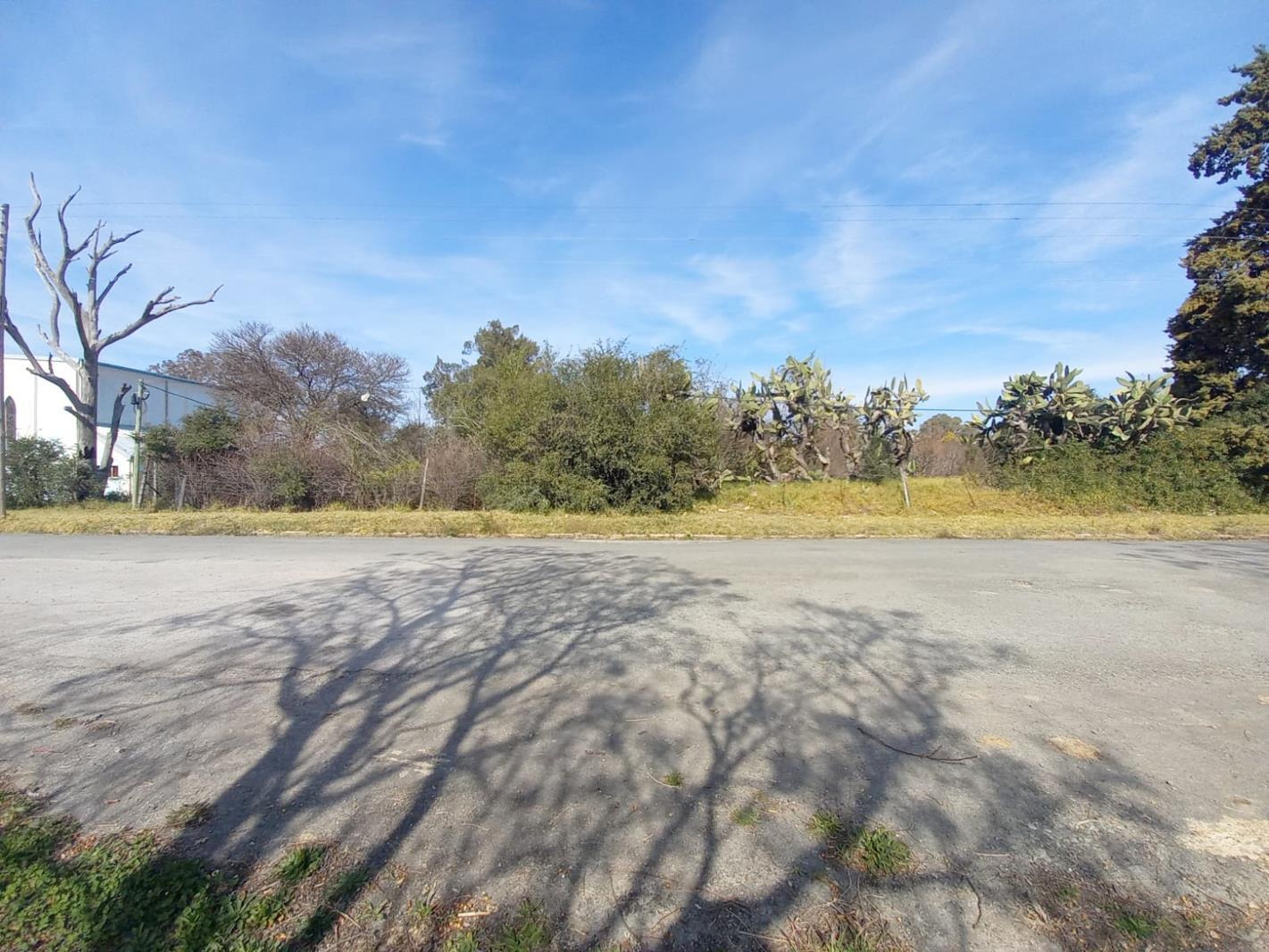 1 542 m² Land available in Somerset East
