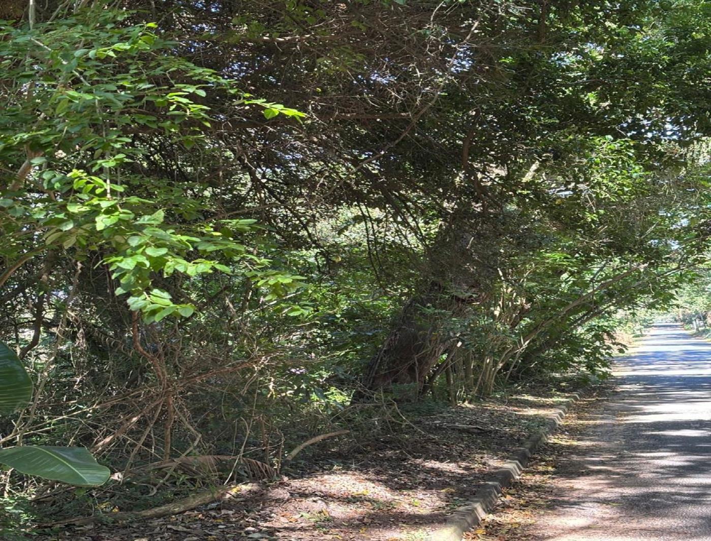 4 047 m² Land available in Pennington