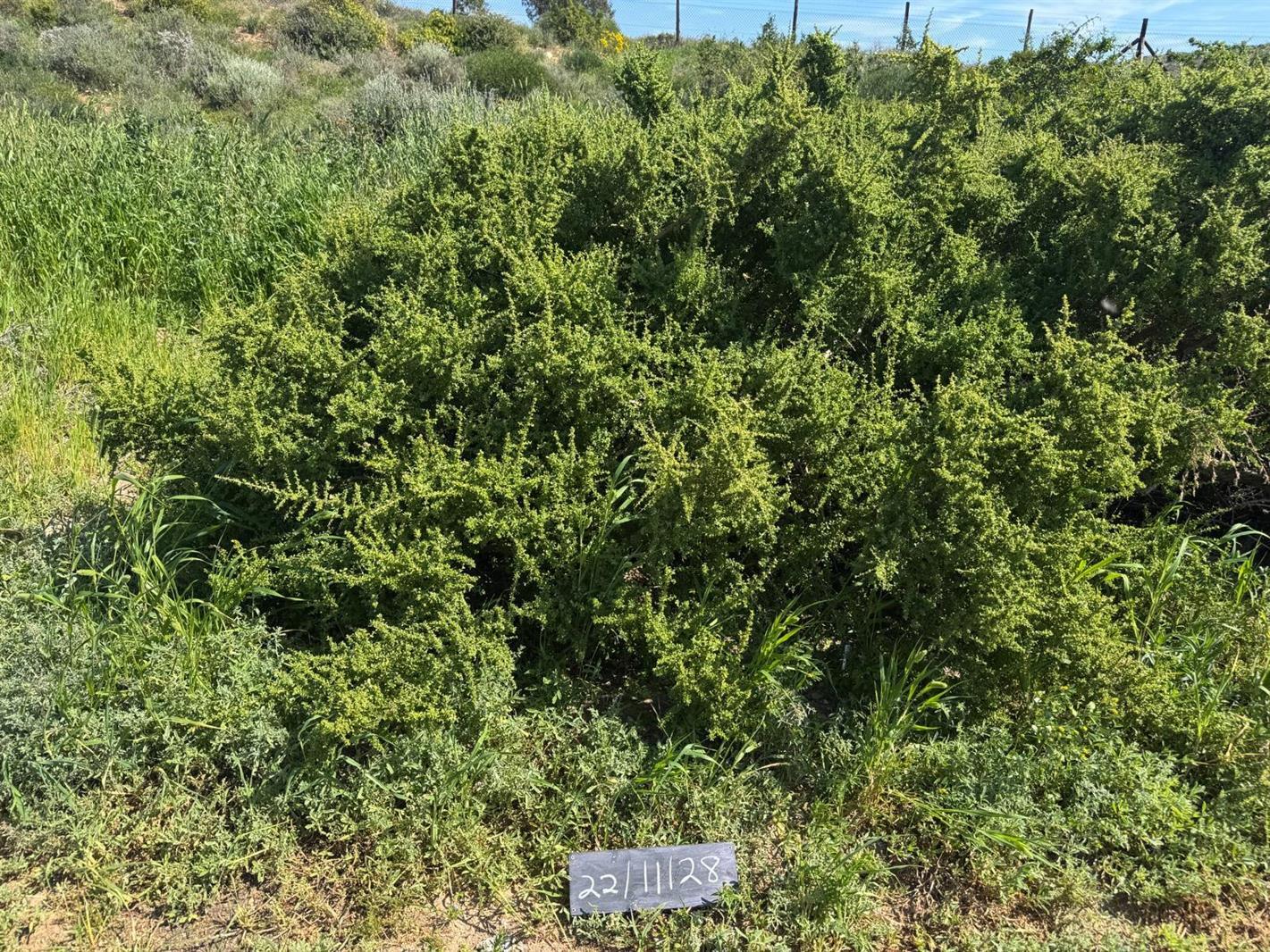 445 m² Land available in St Helena Views