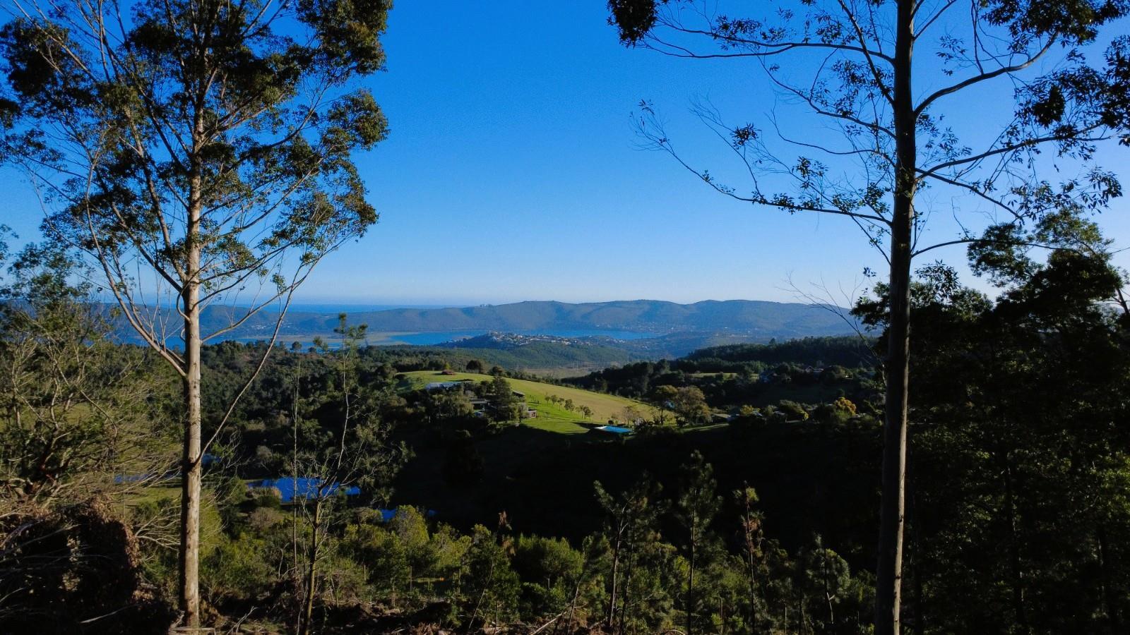 7.3 ha Land available in Knysna Outlying