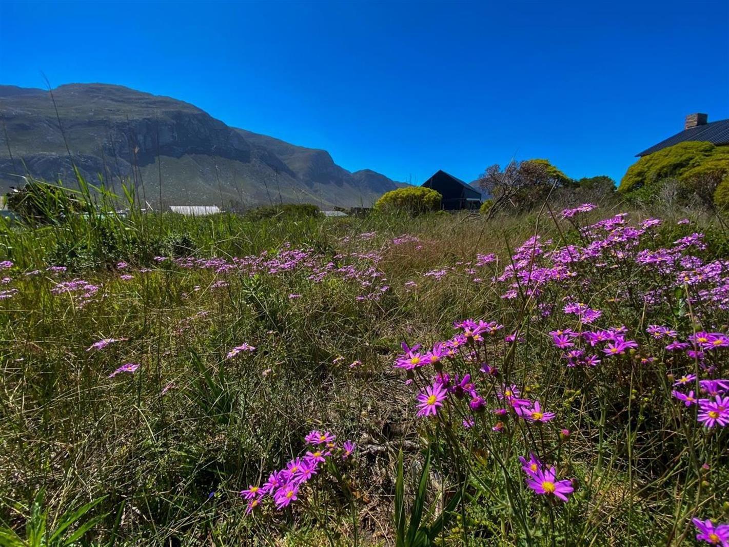 775 m² Land available in Bettys Bay