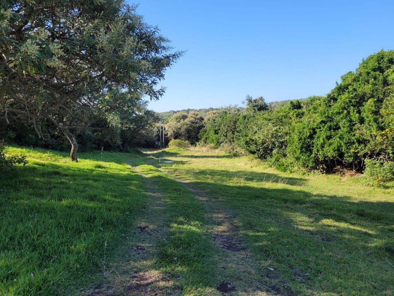 579 m² Land available in Cove Rock