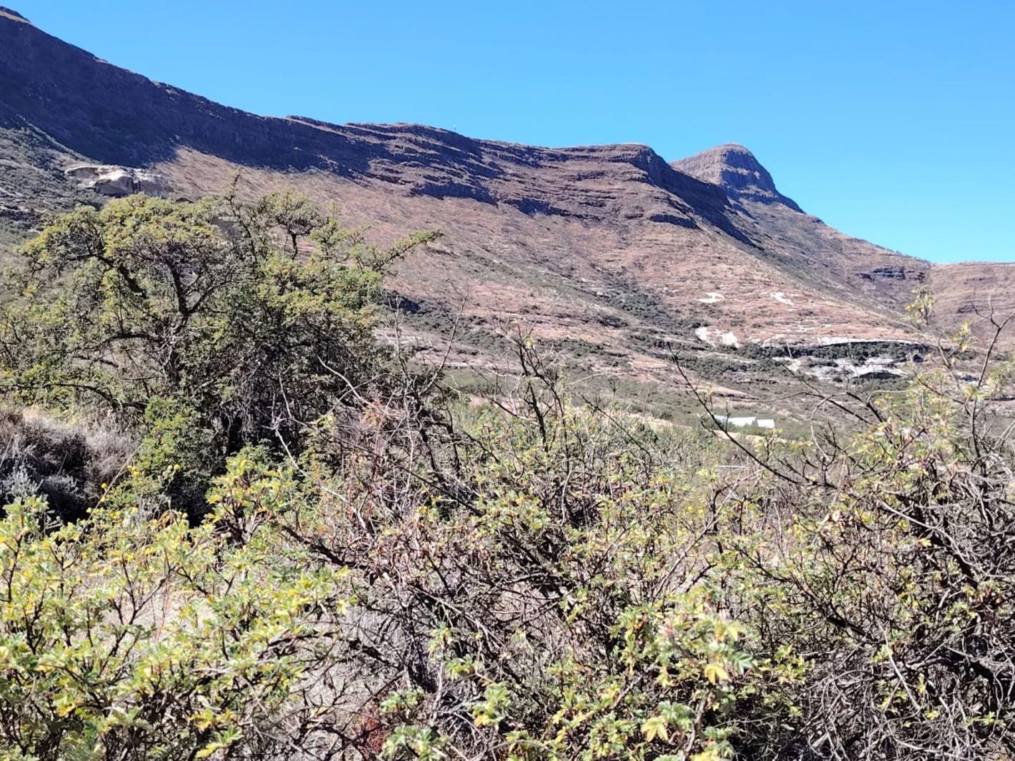 2 474 m² Land available in Clarens