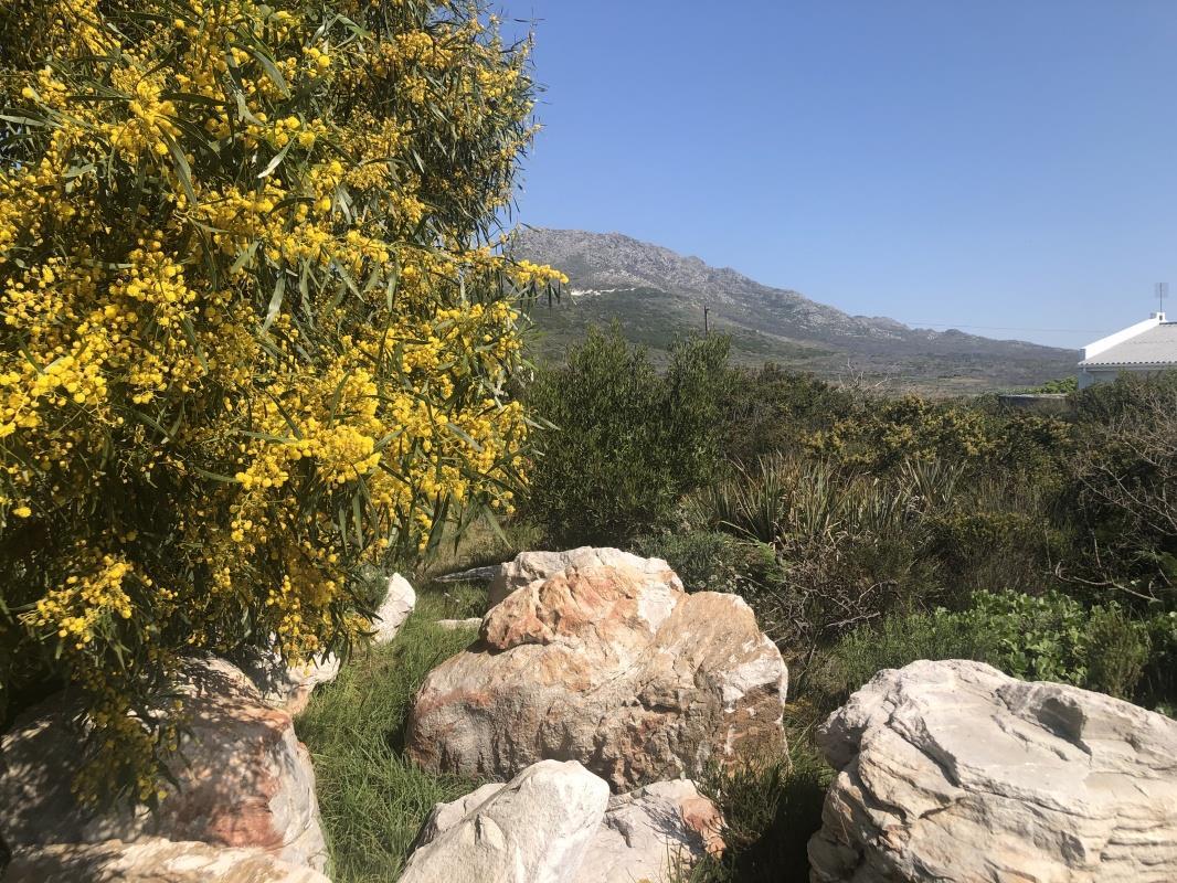 600 m² Land available in Bettys Bay