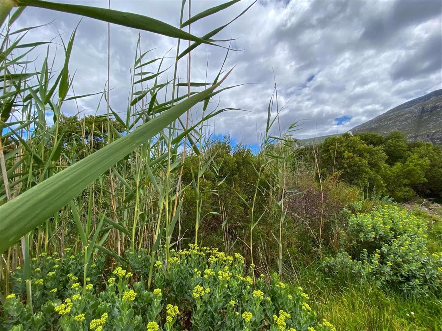 598 m² Land available in Bettys Bay
