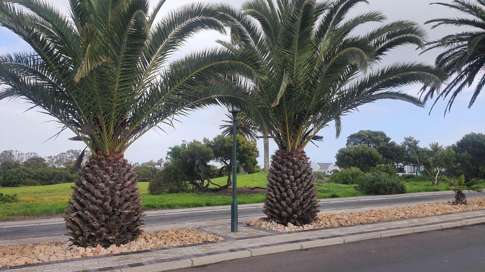 414 m² Land available in Shelley Point