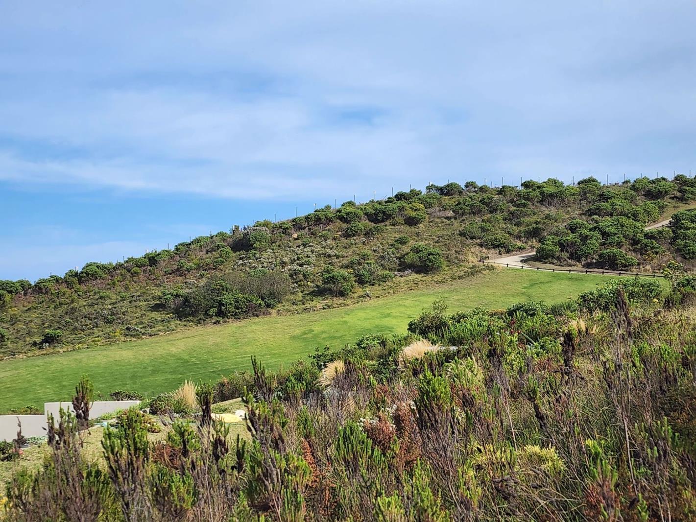 1 000 m² Land available in Pezula Golf Estate