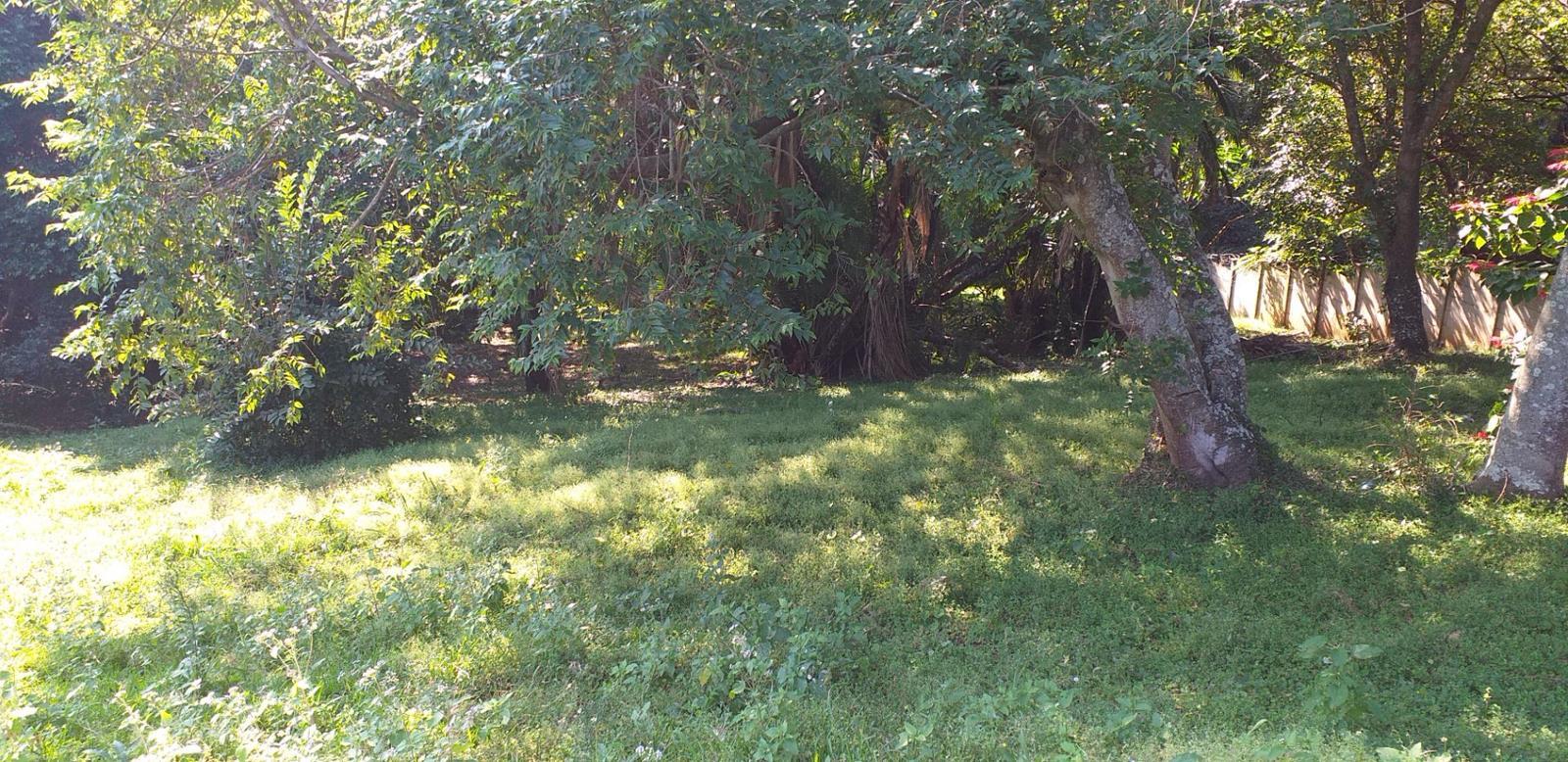 1 316 m² Land available in Hibberdene
